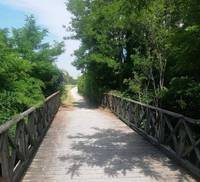 il ponte sul Pissanegra, al termine di Via primo maggio.